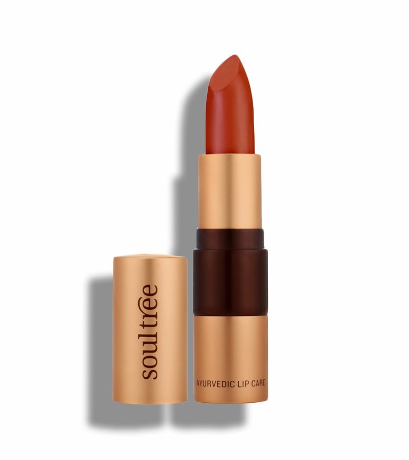 Soultree + lips + Lipsticks + True Brick (4 gm) + buy