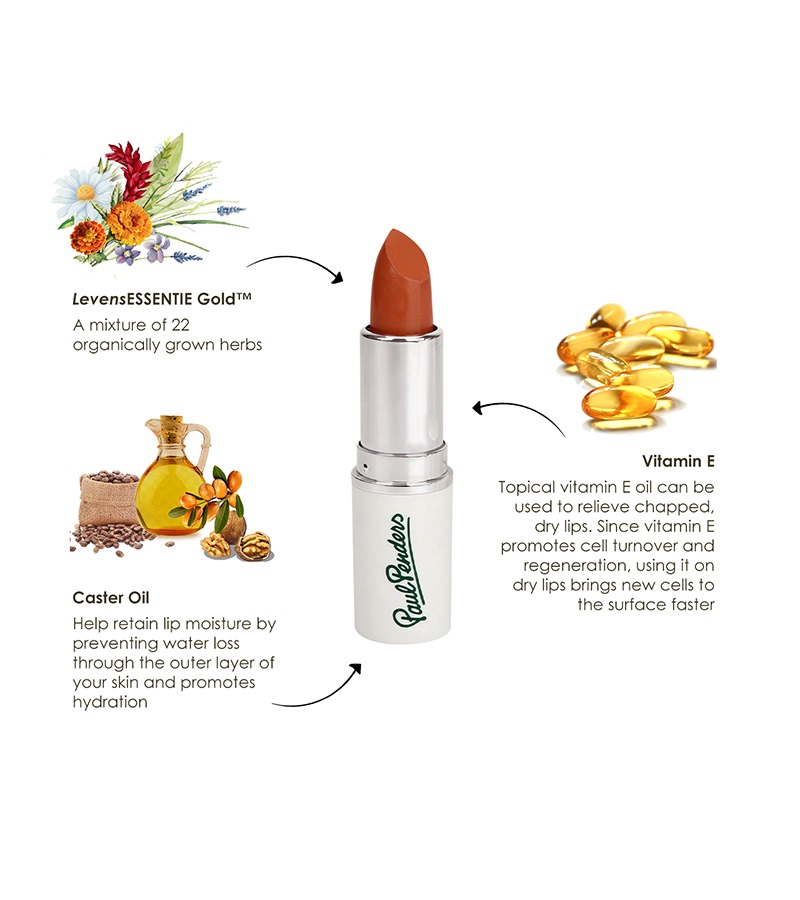 Paul Penders + lips + Handmade Cream Lipstick + Rosewood + discount