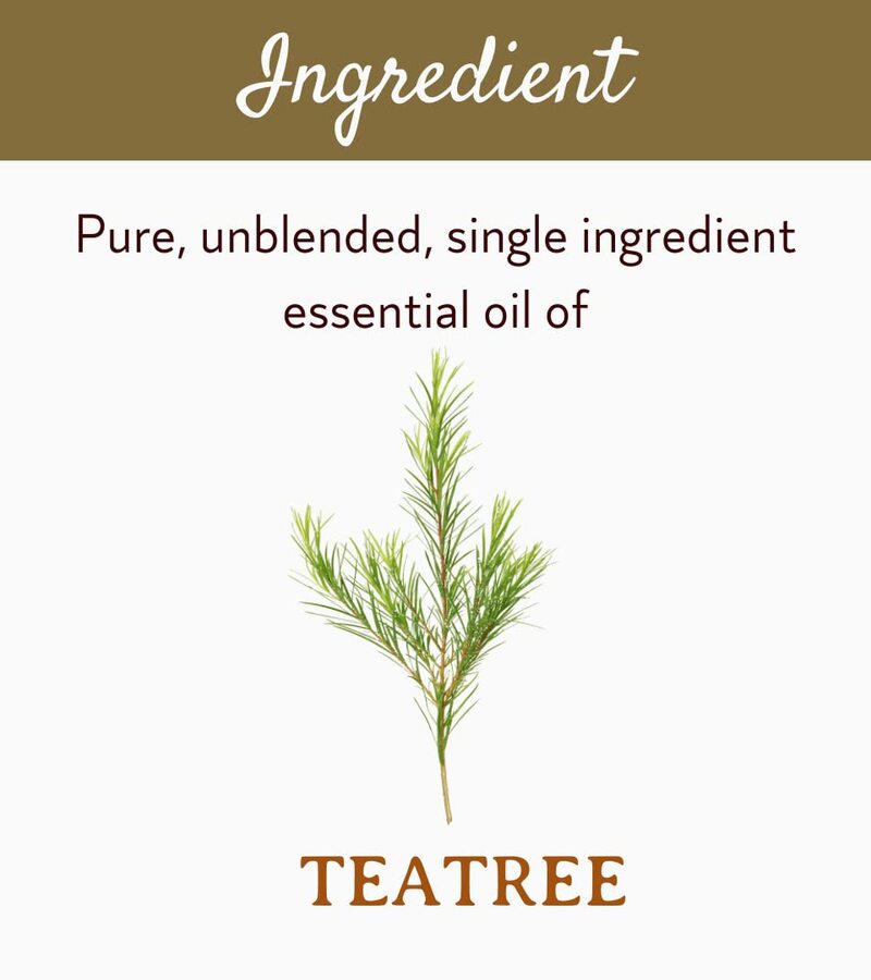 Mitti Se + essential oils + Tea Tree Essential Oil + 10ml + shop