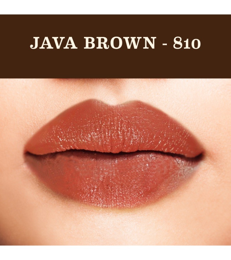 Soultree + lips + Lipsticks + Java Brown (4 gm) + online