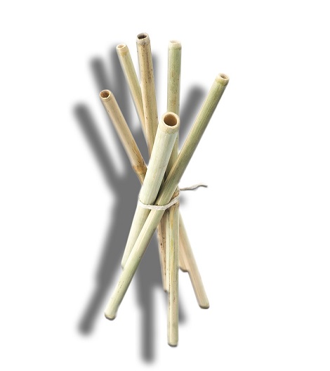 Goli Soda + accessories + Bamboo Straws + Set of 6 + buy