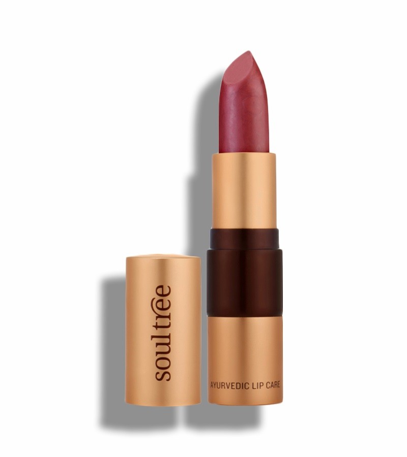 Soultree + lips + Lipsticks + Iced Plum (4 gm) + buy
