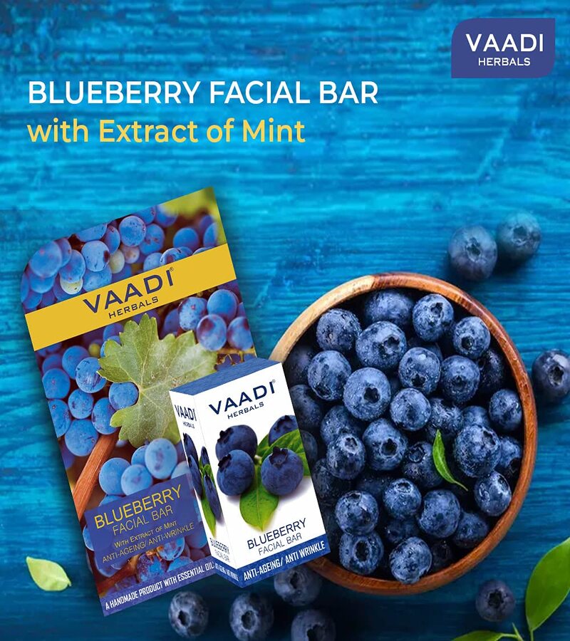 Vaadi Herbals + soaps + liquid handwash + Blueberry Facial Bar with Extract of Mint + 25g + online