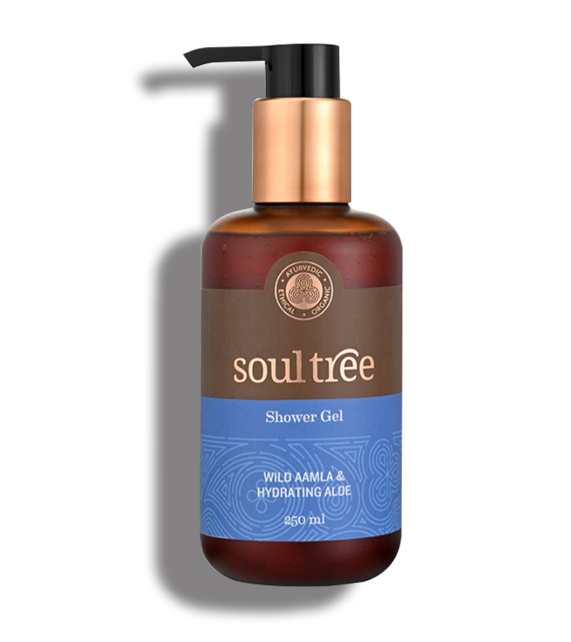Soultree + body wash + Wild Aamla & Hydrating Aloe Shower Gel + 250 ml + buy