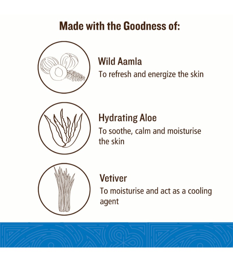 Soultree + body wash + Wild Aamla & Hydrating Aloe Shower Gel + 250 ml + online