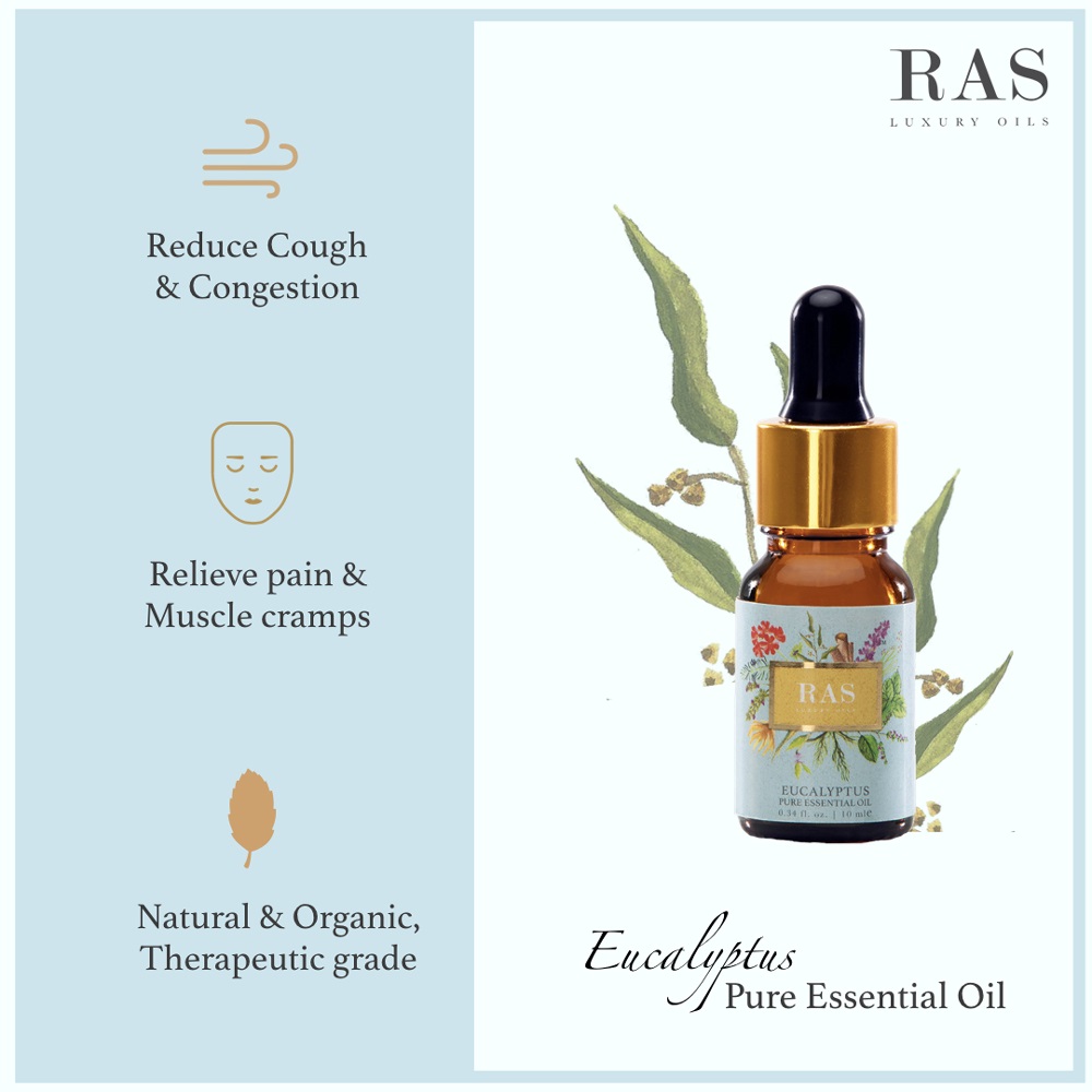 RAS Luxury Oils + essential oils + Eucalyptus Pure Essential Oil + 10 ml + shop
