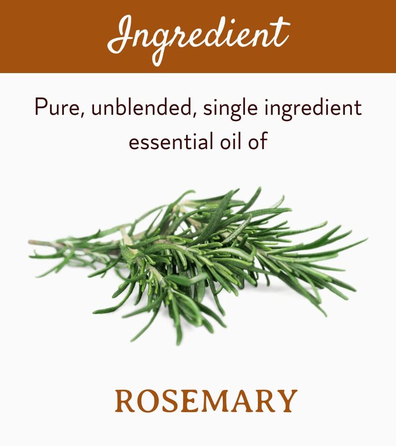 Mitti Se + essential oils + Rosemary Essential Oil + 10ml + shop